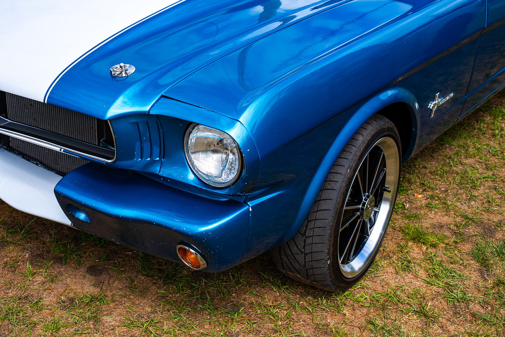 65 Mustang 302 Windsor
